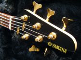 YAMAHA BB 605 électronique active 5 cordes